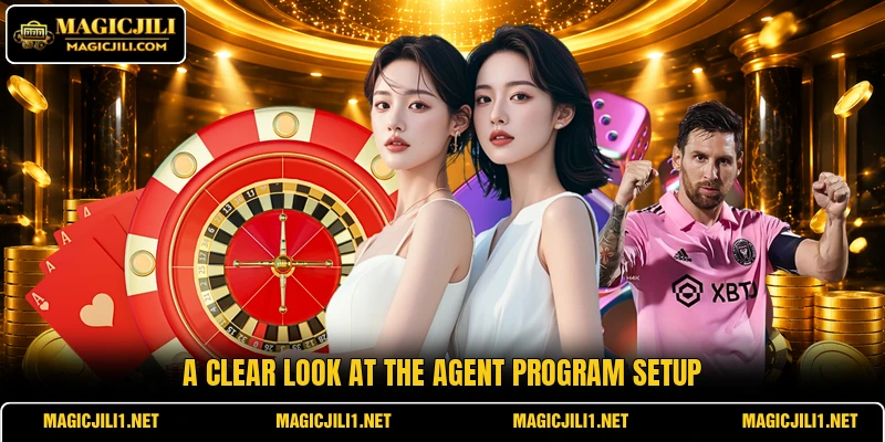 A clear look at the agent program setup