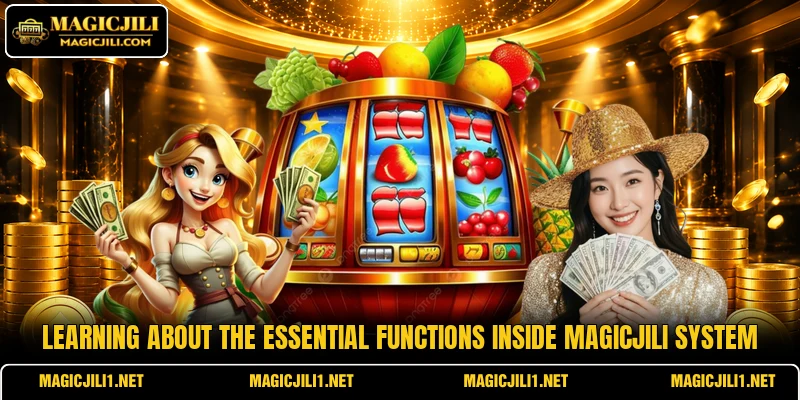 Learning about the essential functions inside MAGICJILI system